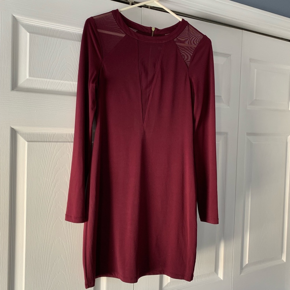 Express Long Sleeve Dress w/ Mesh Cutout